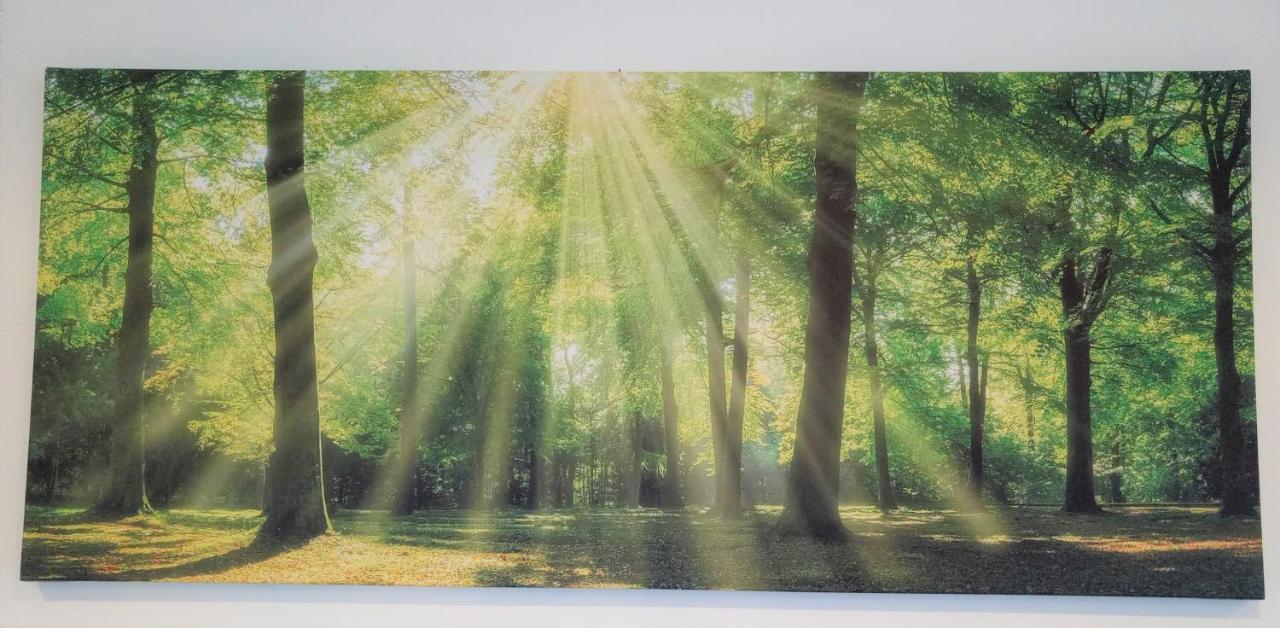 Ferienwohnungen Im Dorfe 졸타우 외부 사진